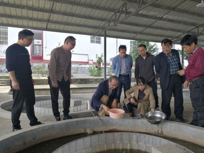 杨品红团队在观察新青鲫苗种生长情况 杨品红团队在观察新青鲫苗种生长情况