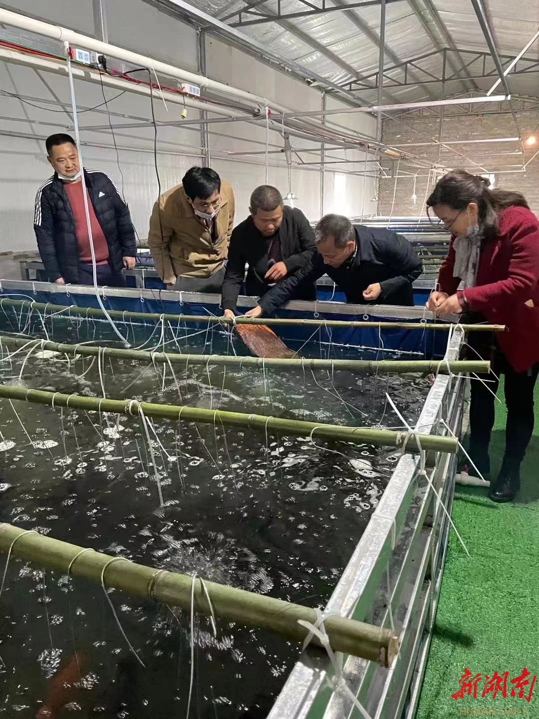 湖南文理学院：科技创新助力乡村振兴