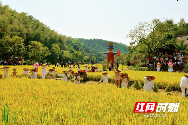 3副本.jpg 3副本.jpg